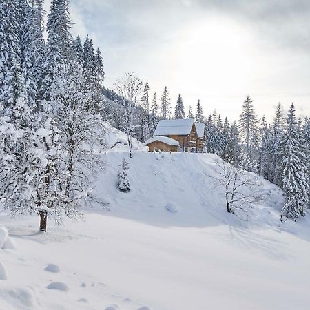 Chalets Almidylle ซังต์ มาร์ติน อัม เทนเนนเกอเบียร์เกอ ภายนอก รูปภาพ