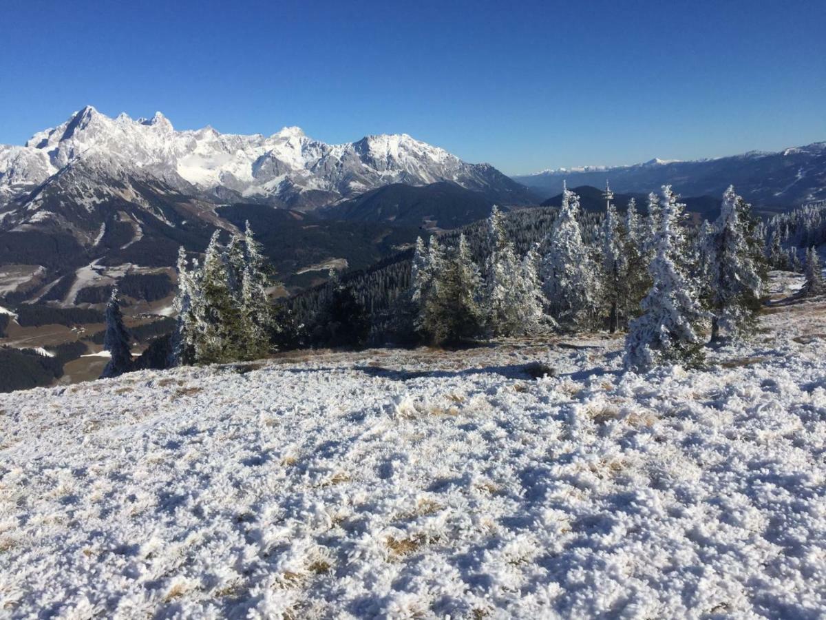 Chalets Almidylle ซังต์ มาร์ติน อัม เทนเนนเกอเบียร์เกอ ภายนอก รูปภาพ