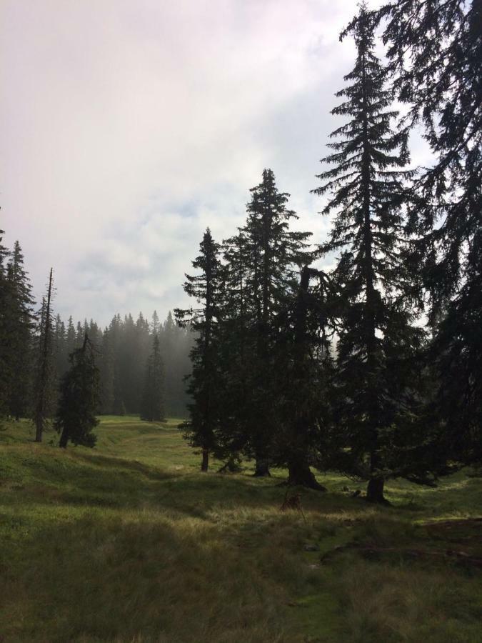 Chalets Almidylle ซังต์ มาร์ติน อัม เทนเนนเกอเบียร์เกอ ภายนอก รูปภาพ